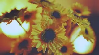 [ASMR] hypnotherapy for self worth - RUINED by ads from 3rd party claimant, please use adblock
