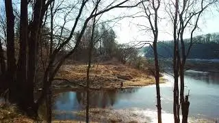 Дендропарк в Лужесно