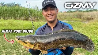 Nak pancing ikan Haruan tapi dapat ikan BUJUK besar!
