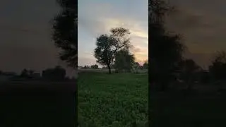 #villagelifestyle #vlogs #vlogs #pindawale #villagelifestyle #vlogsvideo #vlogsquad