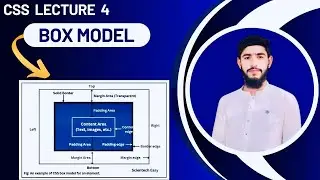 CSS Box Model Explained | CSS Lecture 4 | Learn CSS Step by Step for Beginners