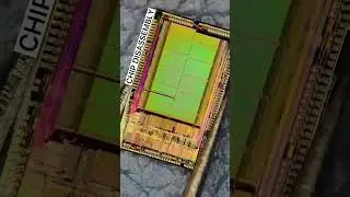 Chip Disassembly 