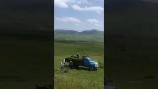 Газ 53.Погрузка сена!