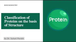 Classification of Proteins I Biochemistry l by Dr. Suhani Parekh #protein #videolecture #education