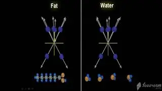 MRI Physics  Part 6 T1 ,T2 and PD اساسيات فيزياء  الرنين المغناظيسي بالعربي