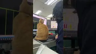 Cat at the office ft. Ginger