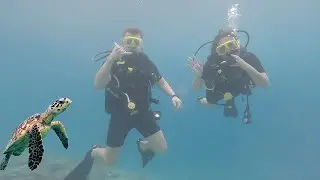 Tauchabenteuer auf Bali: Meine Reise zum Tauchschein - Open water Diver 🤿 | Tauchkurs Vlog - Bali 2