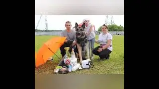 Племенной смотр 12.06.2022 питомника "ОЛЬВАЛ ДЭНИС"