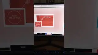 влог про туи