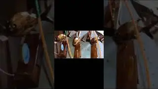vídeo de mas um trabalho concluído.
