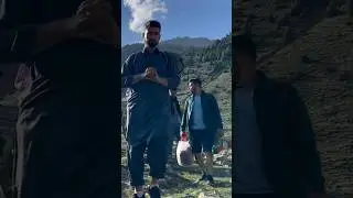 Love traveling and hiking