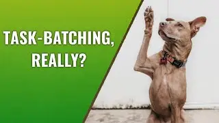 How Much Time Does Task Batching Really Save