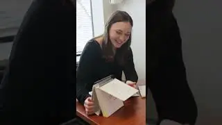 Future Healthcare Leaders