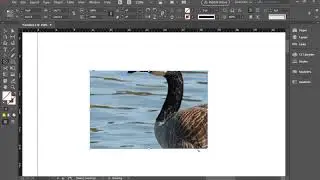 Inserting an Image in InDesign Document