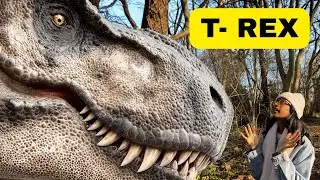 The Amazing Tyrannosaurus Rex (T-Rex) 🦖