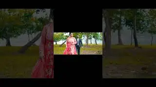 sumsnta and ankita #pre wedding shorts