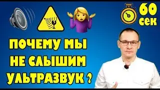 ПОЧЕМУ МЫ НЕ СЛЫШИМ УЛЬТРАЗВУК?  Тело человека за 60 секунд