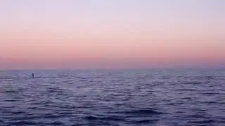 Paddleboarder at Dusk