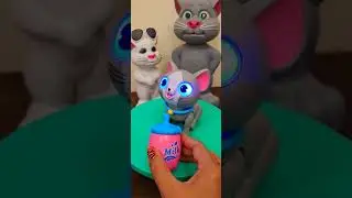 #hungry #cat #funny #cute #kitten