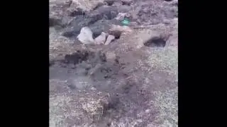 nuevo volcan mexico 2017 michoacan