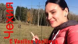 № 227 Чехия с детьми   куда пойти, куда податься Карловы Вары