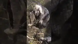 Ловим карася на Дону