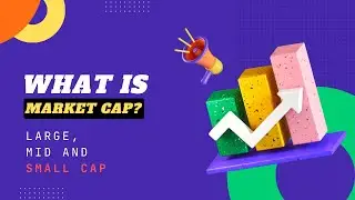 What is Market Capitalization in Stock Market ? What are LARGE, SMALL, MID, MULTI and FLEXI CAP FUND