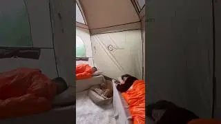 ALTIGEN ÇADIRLA EV KONFORUNDA KAMP