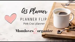 Planner Flip Pink Croc Planner