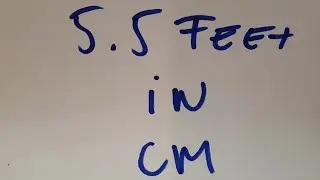 5.5 feet in cm?