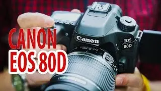Обзор фотоаппарата Canon EOS 80D