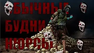 Нюрса эдит дбд  ⚡️  Nurse Edit dbd