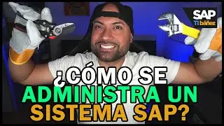 🚥 ¡ALERTA ROJA! Peligros de NO administrar correctamente SAP