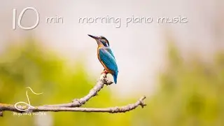 《10min》Morning piano music for inner peace｜calm, relaxing