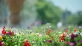SONY A7 + HELIOS-44-2 58mmf2.0 Russian M42 Old lens Bokeh Movie Test /muk #121