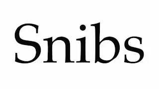 How to Pronounce Snibs