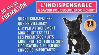COMMENT ÉDUQUER SON CHIOT - L'INDISPENSABLE