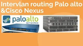 Inter-Vlan Routing Palo Alto , Nexus ,& verifikasi Packet capture Palo Alto  (Bahasa Indonesia)