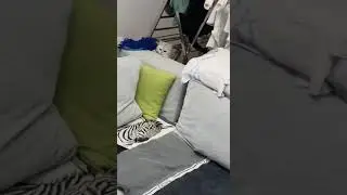 не виновата я