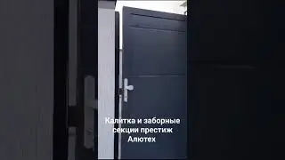 17 февраля 2024 г.