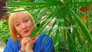 💔 КАК ХОЧЕТСЯ ДОТРОНУТЬСЯ 💔 