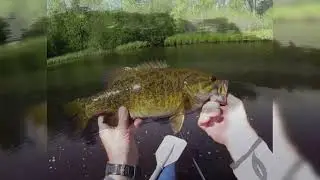 Early Morning Bass On The Fly