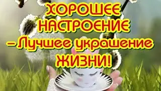 ХОРОШЕЕ НАСТРОЕНИЕ - Лучшее украшение жизни🥰Пусть оно вас не покидает 🎶Музыкальный клип для друзей