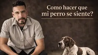 COMO HACER QUE MI PERRO SE SIENTE COMO ENSEÑARLE A MI PERRO A SENTARSE OBEDIENCIA BASICA SITZ PLATZ
