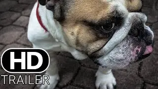 Wallace Outside - Official Trailer [HD] | Dog Life during Corona Virus