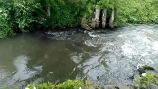 Река 