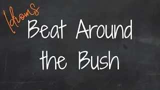 Beat Around the Bush. Идиомы 