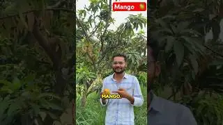 How Agriculturist define Mango 🥭😜. #iari #icarsrf #icar #icarexam #mango #agriculture