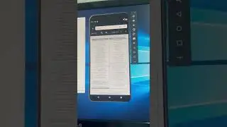 demonstrate  bug 1