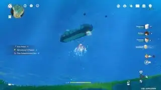 Genshin Impact - Dolphin Traveller